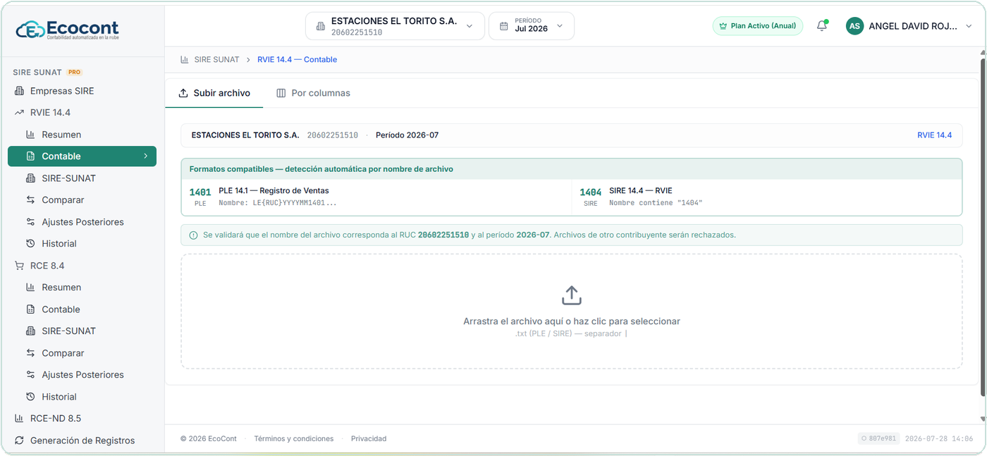 RVIE — Contable: importación de tu información (TXT/Excel), con detección automática de formato.